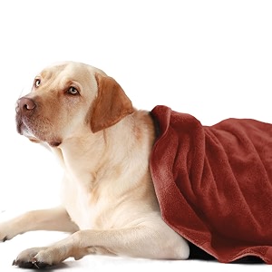 sassoon medium pet towels  ultra soft amp microfiber  quick drying  machine washable  colour - rust pack of 1