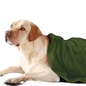 Sassoon Medium Pet Towels | Ultra Soft &amp; Microfiber | Quick Drying | Machine Washable | Colour - Green (Pack of 1)