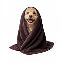 Sassoon Small Pet Towels | Ultra Soft &amp; Microfiber | Quick Drying | Machine Washable | Colour - Cocoa (Pack of 2)