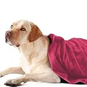 Sassoon Medium Pet Towels | Ultra Soft &amp; Microfiber | Quick Drying | Machine Washable | Colour - Coral Pink (Pack of 1)