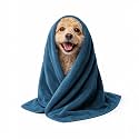 Sassoon Small Pet Towels | Ultra Soft &amp; Microfiber | Quick Drying | Machine Washable | Colour - Peacock (Pack of 2)