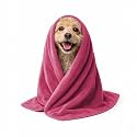 Sassoon Small Pet Towels | Ultra Soft &amp; Microfiber | Quick Drying | Machine Washable | Colour - Coral Pink (Pack of 2)