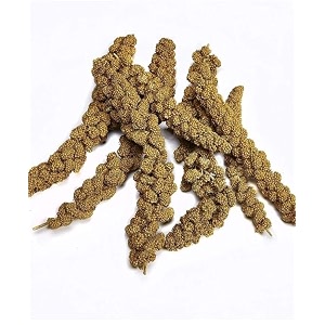 bird and pet food spray foxtail millet rabbit rat parrot small medium large pets no preservatives indian farmer cultivation for indian climate no chemical use pack of 50 gm