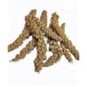 Bird and Pet Food, Spray Foxtail Millet, Rabbit, Rat, Parrot, Small, Medium, Large Pets, No Preservatives, Indian Farmer Cultivation for Indian Climate No Chemical use (Pack of 50 gm)