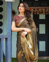 Satrani Woven, Embellished Mangalagiri Chiffon Saree (Green)