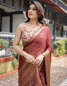 Satrani Woven, Embellished Mangalagiri Chiffon Saree (Brown)