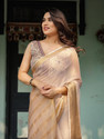 Satrani Woven, Embellished Mangalagiri Chiffon Saree