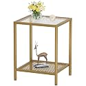SAYGOER Glass Side Table Small Gold End Table for Narrow Space 2-Tier Square Nightstand with Storage,13.3" x 11.8" x 19.7",Modern Bed Side Table with Metal Frame for Bedroom Living Room, Easy Assembly