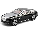 Scale Exclusive Alloy Metal Pull Back Die-cast Car Model with Sound Light Mini Auto Toy for Kids Metal Model Toy Car with Sound and Light (1.24 SACLE -Rolls Royce Spectre-Silver)