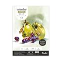 Scholar Watercolour Hot Pressed Loose Sheets 
