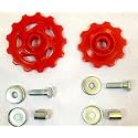 Schrodinger 50002 Molded Plastic Bicycle Derailleur Gear Pulley Wheels (13T & 10T, Multicolour) - 2pcs