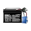 Schumacher Electric 12V Battery for Ride on Toys - TB4 12V 12 Amp Hours with Replaceable Fuse - Rechargeable 12V Ride On Replacement Battery for Peg Perego Vehicles - Safe & Easy to Use