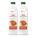 SCORLIFE MARKETING Sea Buckthorn Juice-500ml | Himalayan Berry | Immunity Booster Vegan Health Supplement | Enrich With Omega 3,6,7 &amp; 9 | Rich in Vitamin C | No Added Sugar (Pack of 2)