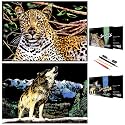Scratch Rainbow Painting Art Paper,Scratch &amp; Sketch Art for Adults,Animal Series Creative DIY Gifts&amp;Arts Craft Kits with 4 Tools,16''x11''(Cheetah&amp;Wolf)