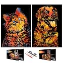 BOTEEN Scratch Rainbow Painting Art Paper,Scratch &amp; Sketch Art for Kids &amp; Adults,Animal Series Creative DIY Gifts&amp;Arts Craft Kits with 4 Tools,16x11(Dog&amp;Cat)