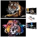 Scratch Rainbow Painting Art Paper,Scratch &amp; Sketch Art for Adults,Animal Series Creative DIY Gifts&amp;Arts Craft Kits with 4 Tools,16''x11''(Lion&amp;Tiger)