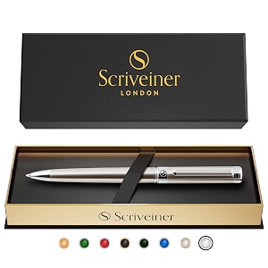 scriveiner stainless steel ballpoint pen - stunning luxury pen with stainless steel finish schmidt black refill best ball pen gift set for men amp women professional executive office nice pens