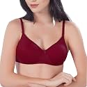 SCTC 100 Cotton GirlsWomen39s Everyday Wire Free