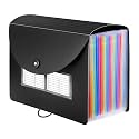 Seagull flight of fashion 24 Pockets Expanding File Folder with Blank Label, A4 Accordion Document Organizer for Certificates, Students, Office, Interview with Hook Closure - 33 x 25 x 28 cm - Black