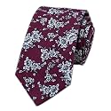 Secdtie Men's Skinny Tie Fashion Causal Cotton Floral Printed Linen Necktie