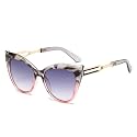 secret lives Unisex Outdoor Sunglasses | UV400 Protection | Polycarbonate Lens &amp; Frame | Comfortable Fit (Cats Grey)
