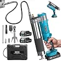 Seesii 2-in-1 Electric Grease Gun, 12000 PSI, with 2 Batteries and 48” Hose