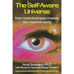 the self-aware universe how consciousness creates the material world