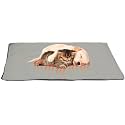 Self Warming Cat Mat - 25x18in Thermal Dog Crate Pad with Removable Washable Sherpa Cover and Reflective Insulation Layer for Self Heating - Pet Supplies for Small Dogs and Cats by PETMAKER (Gray)