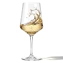 Set of 1 Unbreakable Acrylic Wine Glasses, 19 oz Clear Reusable