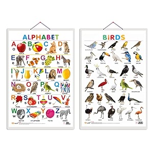 set of 2 alphabet and birds early learning educational charts for kids2034x3034 inchnon-tearable amp waterproofdouble sided laminatedperfect for homeschooling kindergarten and nursery students
