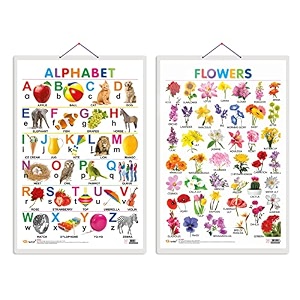 set of 2 alphabet and flowers early learning educational charts for kids  2034x3034 inch non-tearable and waterproof  double sided laminated  perfect for homeschooling kindergarten and nursery students