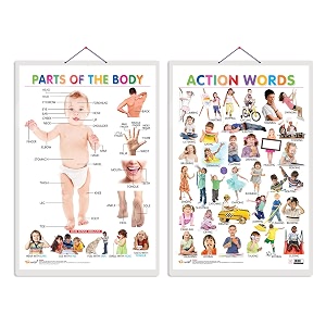 set of 2 parts of the body and action words early learning educational charts for kids  2034x3034 inch non-tearable and waterproof  double sided laminated  perfect for homeschooling kindergarten and nursery students