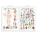 Set of 2 Parts of the Body and Action Words Early Learning Educational Charts for Kids | 20"X30" inch |Non-Tearable and Waterproof | Double Sided Laminated | Perfect for Homeschooling, Kindergarten and Nursery Student