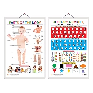 set of 2 parts of the body and alphabet numbers shapes amp colours early learning educational charts for kids  2034x3034 inch non-tearable and waterproof  double sided laminated  perfect for homeschooling kindergarten and nursery students