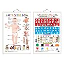 Set of 2 Parts of the Body and Alphabet, Numbers, Shapes &amp; Colours Early Learning Educational Charts for Kids | 20"X30" inch |Non-Tearable and Waterproof | Double Sided Laminated | Perfect for Homeschooling, Kinde