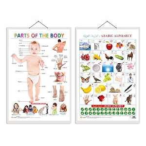 set of 2 parts of the body and arabic alphabetarabic early learning educational charts for kids  2034x3034 inch non-tearable and waterproof  double sided laminated  perfect for homeschooling kindergarten and nursery students