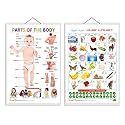 Set of 2 Parts of the Body and Arabic Alphabet (Arabic) Early Learning Educational Charts for Kids | 20"X30" inch |Non-Tearable and Waterproof | Double Sided Laminated | Perfect for Homeschooling, Kindergarten and Nur