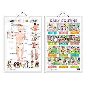 set of 2 parts of the body and daily routine early learning educational charts for kids  2034x3034 inch non-tearable and waterproof  double sided laminated  perfect for homeschooling kindergarten and nursery students