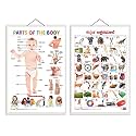 Set of 2 Parts of the Body and Kannada Alphabet Early Learning Educational Charts for Kids | 20"X30" inch |Non-Tearable and Waterproof | Double Sided Laminated | Perfect for Homeschooling, Kindergarten and Nursery Stu