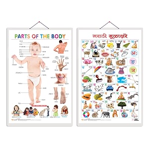 set of 2 parts of the body and marathi varnamalamarathi early learning educational charts for kids  2034x3034 inch non-tearable and waterproof  double sided laminated  perfect for homeschooling kindergarten and nursery students