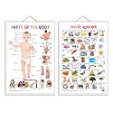 Set of 2 Parts of the Body and Marathi Varnamala (Marathi) Early Learning Educational Charts for Kids | 20"X30" inch |Non-Tearable and Waterproof | Double Sided Laminated | Perfect for Homeschooling, Kindergarten and 