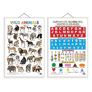 set of 2 wild animals and alphabet numbers shapes amp colours early learning educational charts for kids  2034x3034 inch non-tearable and waterproof   kindergarten and nursery students