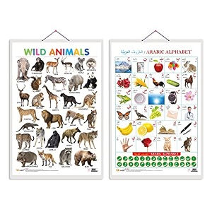 set of 2 wild animals and arabic alphabet arabic early learning educational charts for kids  2034x3034 inch non-tearable and waterproof  double  kindergarten and nursery students