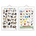 Set of 2 Wild Animals and Arabic Alphabet (Arabic) Early Learning Educational Charts for Kids | 20"X30" inch |Non-Tearable and Waterproof | Double ... Kindergarten and Nursery Students