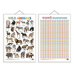 set of 2 wild animals and baarahkhadee early learning educational charts for kids  2034x3034 inch non-tearable and waterproof  double sided laminated  kindergarten and nursery students