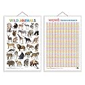 Set of 2 Wild Animals and Baarahkhadee Early Learning Educational Charts for Kids | 20"X30" inch |Non-Tearable and Waterproof | Double Sided Laminated ... Kindergarten and Nursery Students