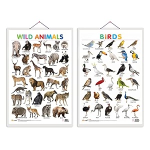 set of 2 wild animals and birds early learning educational charts for kids  2034x3034 inch non-tearable and waterproof  double sided laminated   kindergarten and nursery students