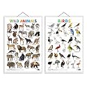 Set of 2 Wild Animals and Birds Early Learning Educational Charts for Kids | 20"X30" inch |Non-Tearable and Waterproof | Double Sided Laminated | ... Kindergarten and Nursery Students