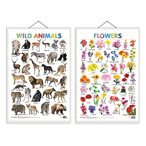 set of 2 wild animals and flowers early learning educational charts for kids  2034x3034 inch non-tearable and waterproof  double sided laminated   kindergarten and nursery students