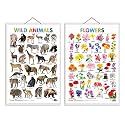 Set of 2 Wild Animals and Flowers Early Learning Educational Charts for Kids | 20"X30" inch |Non-Tearable and Waterproof | Double Sided Laminated | ... Kindergarten and Nursery Students